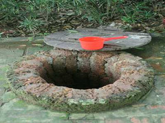 Chuyện ly kỳ về bầu vú mẹ trên đồi Hổ gầm