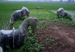 Bí ẩn ngôi mộ cổ khổng lồ giữa cánh đồng