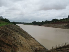 Đường cùng - 'đạo chích' nhảy xuống hồ chết đuối