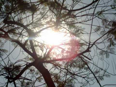 Nắng nóng trên 37 độ tại Trung Bộ