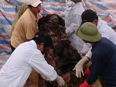 Xác ướp trong ngôi mộ ở Hưng Yên bị lãng quên