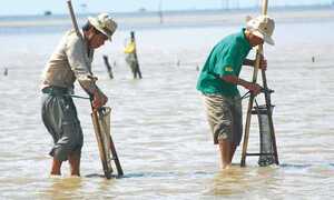 Đầu tư 150.000 thu chục triệu đồng/tháng nhờ 'lộc biển'