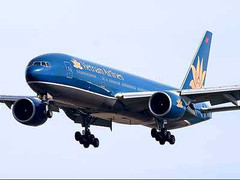 Máy bay Vietnam Airlines bay lòng vòng... tránh trâu