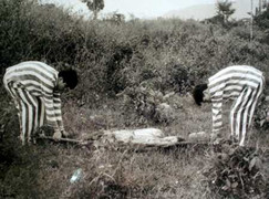 Ly kỳ chuyện phá án trong rừng thẳm