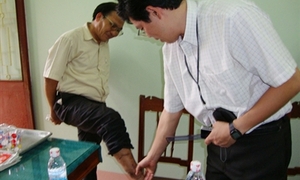 Công bố 3 loài cá mập tấn công người ở Quy Nhơn