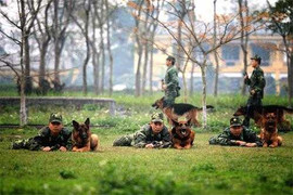 Một ngày ở đại bản doanh của 'vũ khí loại 1'