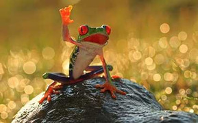 Thế giới 7 ngày qua những hình ảnh ấn tượng nhất