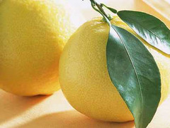 Chữa hói đầu bằng tinh dầu bưởi