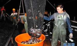 Phải đuổi kẻ cắp khỏi Trường Sa