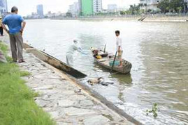 Xác chết vô danh trôi trên kênh Bến Nghé