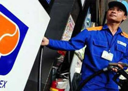 Đầu tư ra nước ngoài, Petrolimex lãi lớn