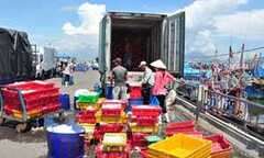 Kiểm soát chặt thông tin thương nhân Trung Quốc