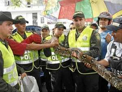 Phát hiện rắn khổng lồ 'nghỉ dưỡng' trong cốp xe ô tô