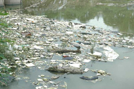 Ảnh: Những hồ 'chết' khủng khiếp giữa thủ đô