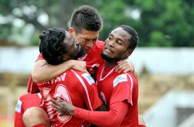 V.Hải Phòng: Con bò bị bắn thuốc mê