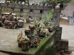 'Băm nát' động Ngườm Ngao lấy nhũ làm cảnh