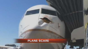 Va chạm với chim, máy bay vỡ đầu