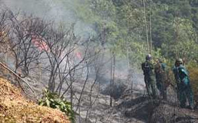 Rừng Đà Nẵng lại bốc cháy ngùn ngụt