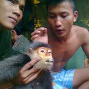 Quân nhân giết voọc: 'Tôi chỉ chụp ảnh'