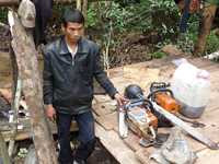 Thêm ba đối tượng phá rừng tàn bạo ra đầu thú