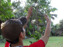 Săn 'vương điểu' giữa đại ngàn Trường Sơn