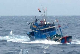 Truy tìm tàu hàng đâm chìm tàu cá rồi bỏ chạy