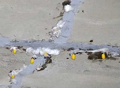 Nứt, thấm hầm vượt sông Sài Gòn: Dân ngại qua hầm