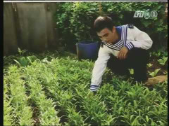 Người 'mang' Trường Sa về Hà Nội