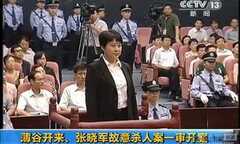 Video, ảnh: Toàn cảnh phiên tòa xử vợ Bạc Hy Lai