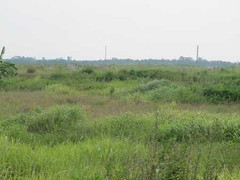 Vì sao đất dự án Mê Linh rớt giá thảm?