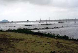 Xác bé trai một tháng nổi ở cửa biển