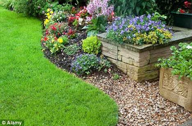 Phát hiện lạ lùng: Cây cối thực sự biết nói chuyện