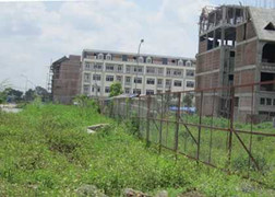 Dân văn phòng săn đất ven đô dưới 300 triệu đồng