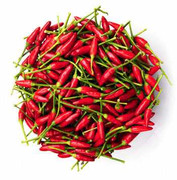 Vô địch ăn ớt cay được thưởng... 125 USD