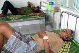 Nhặt heo chết ăn, 5 người thương vong