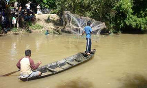 Cả trăm người vây bắt cá lạ tấn công hai thiếu niên