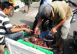 Tôm hùm, cá mú đua nhau 'bò' ra vỉa hè