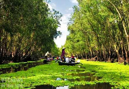 Ảnh: Khám phá thế giới tuyệt mỹ rừng tràm Trà Sư