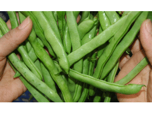 Điểm mặt các loại rau nhiễm nhiều 'thuốc độc'