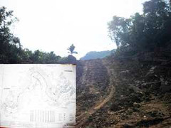 Xe cẩu nổ lốp rơi xuống vực kéo theo 2 người