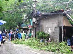 Hà Nội: Cây to đổ gây chập điện cháy nhà dân