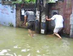 Sau bão Kai-tak, người Hà Nội vẫn chộp cá trên đường