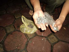 Hàng trăm người sập bẫy ‘đinh tặc’ ngay giữa thủ đô