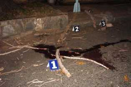 TP.HCM: Cành cây rơi, một phụ nữ tử vong