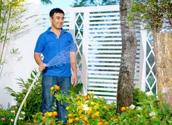 Soi biệt thự triệu đô của Quyền Linh