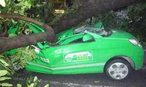 Tài xế taxi bị đè chết: Ai chưa làm hết trách nhiệm?