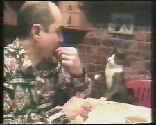 Mèo hướng dẫn chủ... bón cho mình ăn