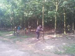 'Đại gia' đồn điền bị bắt: Nỗi lo sau 'lệnh' triệu tập