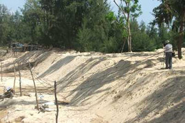 Kỷ luật 8 cán bộ 'cuỗm' đất rừng nuôi tôm