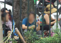 Chuyện 'thâm cung' của những cò trứng người ở bệnh viện